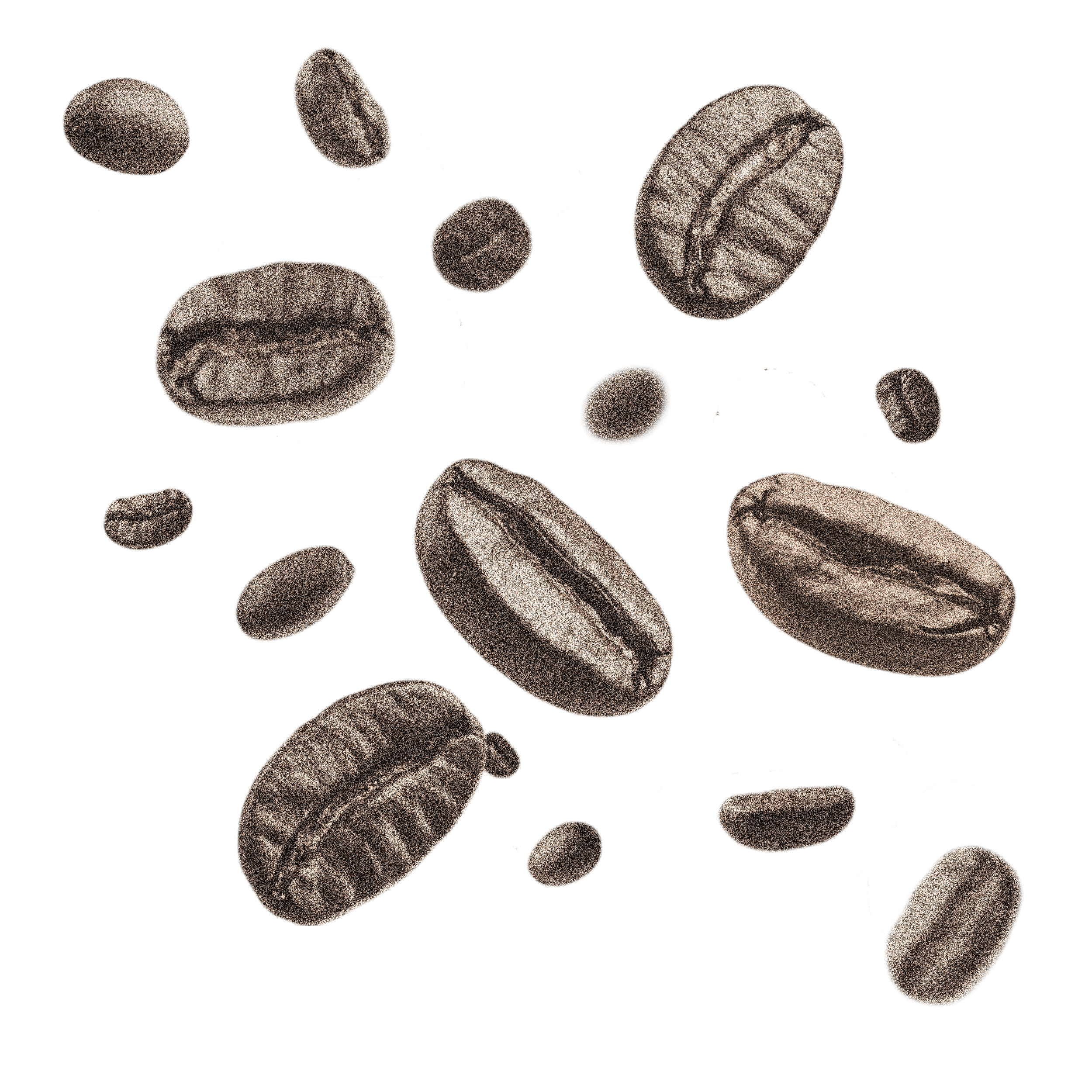 Výběrová pražená káva